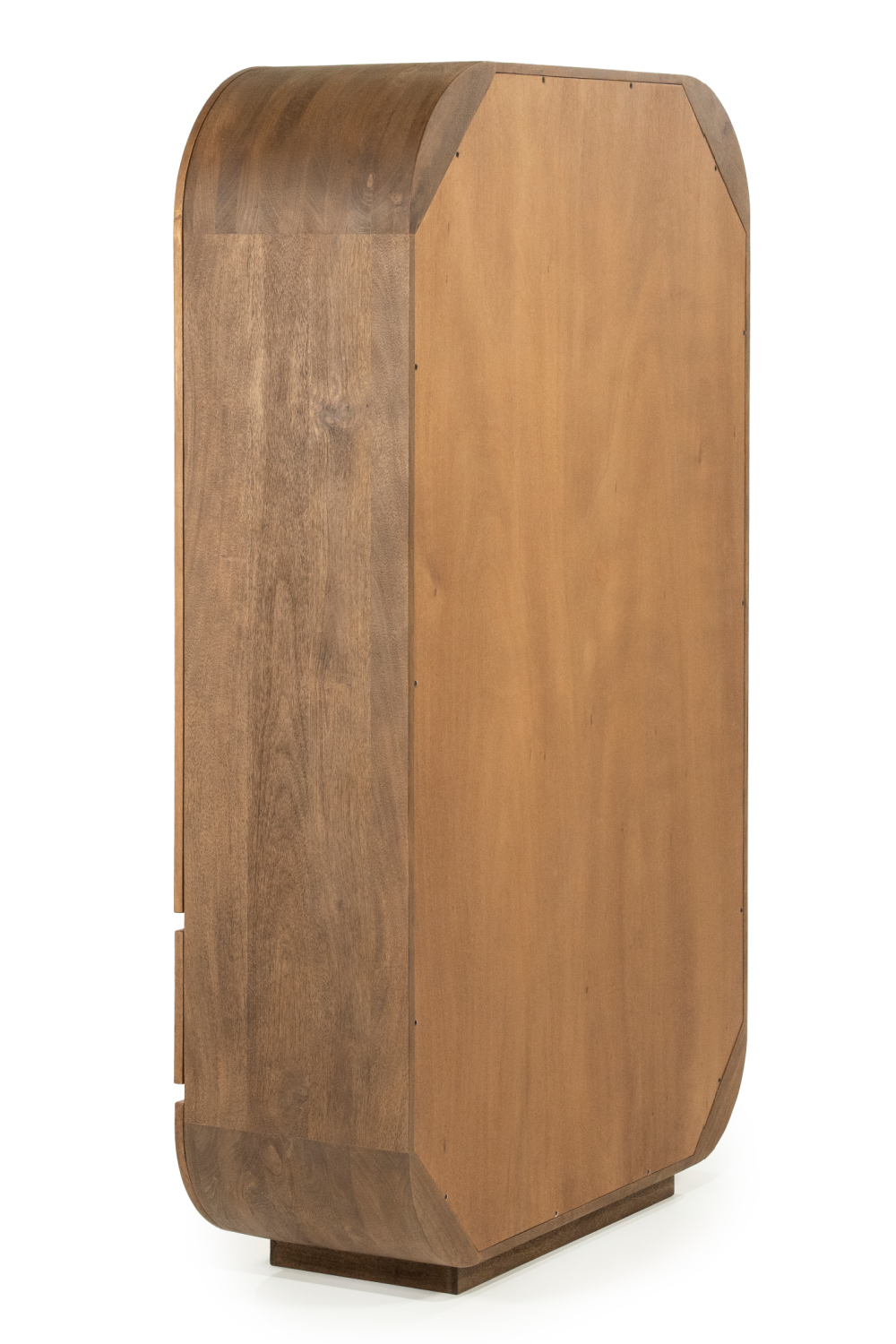 2-Door Mango Wood Cabinet | Eleonora King
