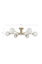6-Glass Globes Pendant Lamp | NV Gallery Gray