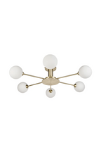 6-Glass Globes Pendant Lamp | NV Gallery Gray