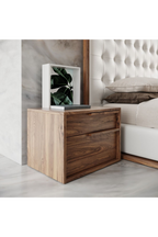 2-Drawer Walnut Veneer Nightstand | OROA Modern Amberlie